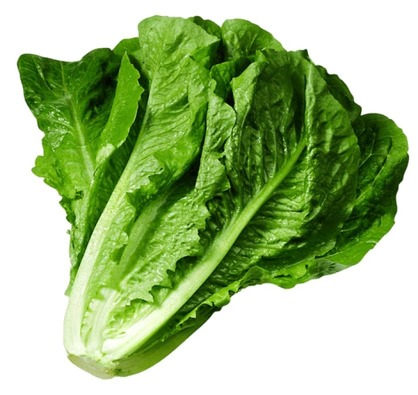 کاهو