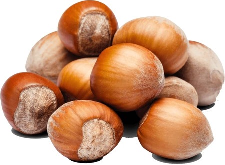 فندق