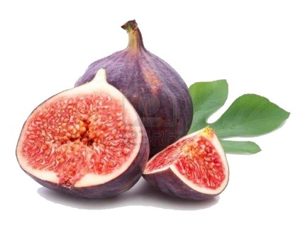 انجیر